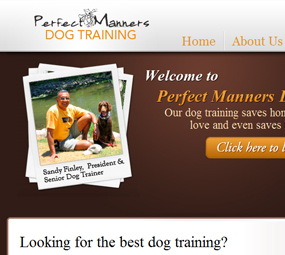 Perfect Manners Dog Training